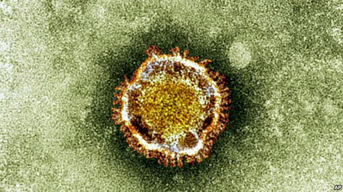 WHO จับตาดูผู้ป่วยและเสียชีวิตด้วย Coronavirus สายพันธุ์ใหม่ ที่เชื่อกันว่าเกี่ยวกับโรค SARS